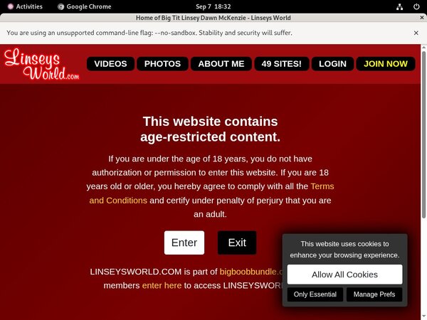 Linseys World Coupon Offer