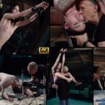 Bdsm Subspace Land Bdsm Subspace Land